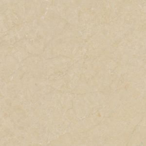 600 x 1200 mm Glossy marble tile slab