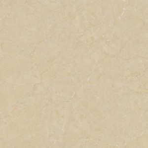 600 x 1200 mm Glossy marble tile slab